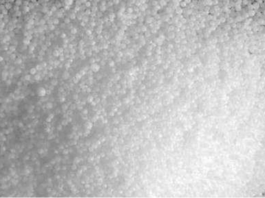 UREA PRILL